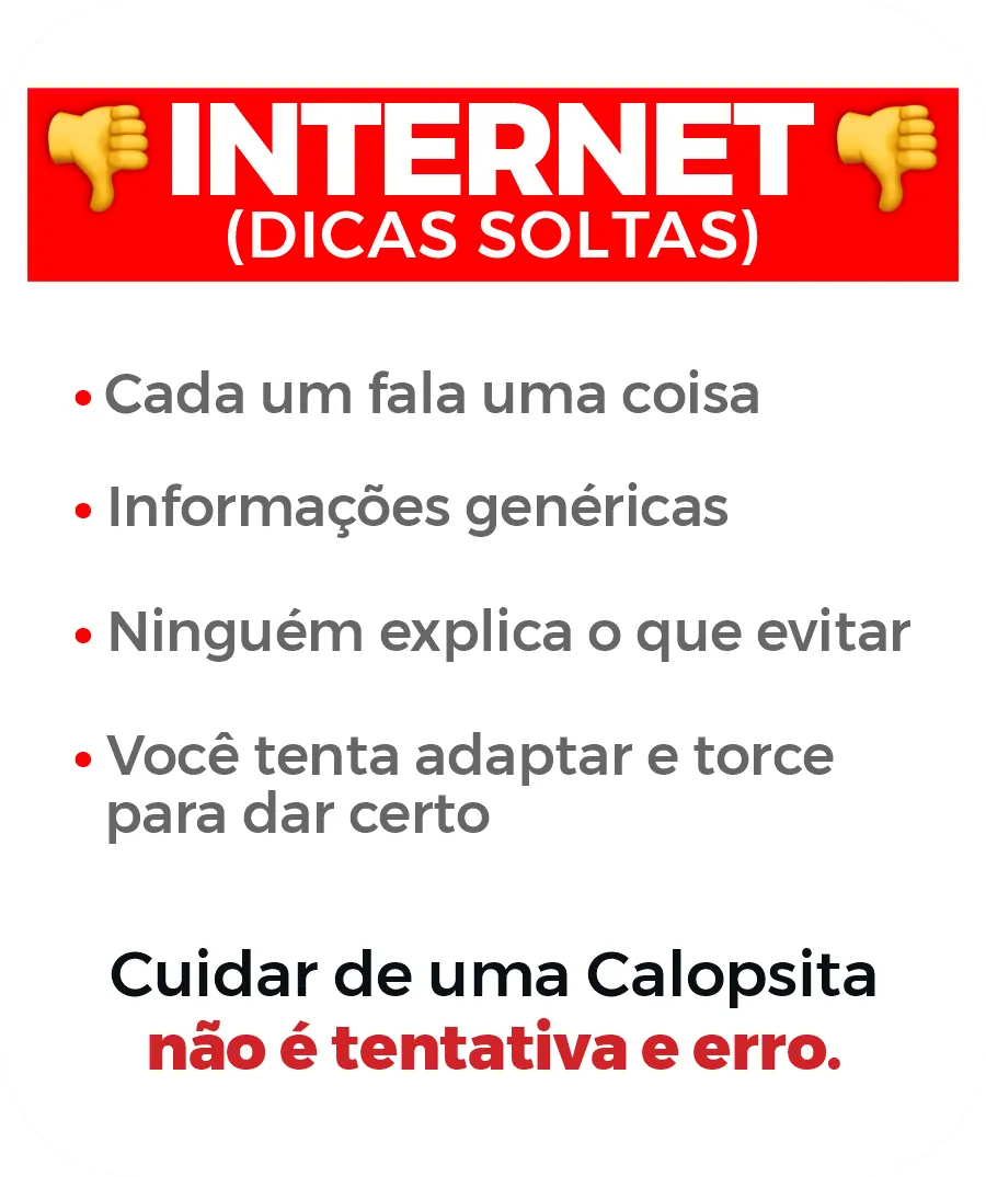 int int